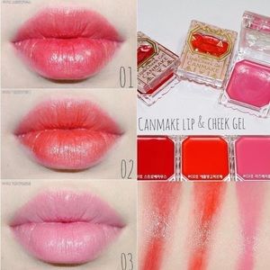 2ps canmake lip and cheek moist brush